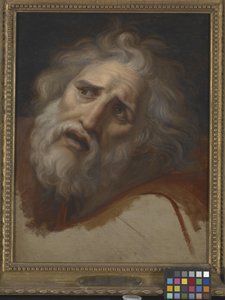 Cabeza de Laocoonte (óleo sobre lienzo) de Italian School