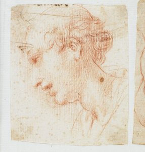 Cabeza de un joven de perfil de Italian School
