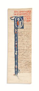 Inicial historiada "P" con San Pablo, recortada de una Biblia Atlántica iluminada, Bolonia, c.1270 (tinta sobre vitela) de Italian School