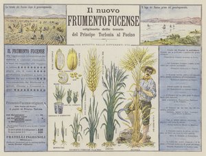 Il nuovo Frumento Fucense de Italian School