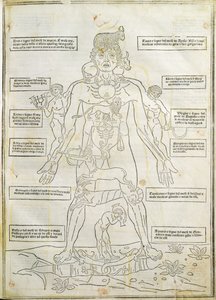 Ilustración de "Fasciculus medicinae" Venecia de Italian School