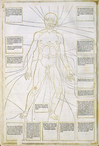 Ilustración de "Fasciculus medicinae" Venecia de Italian School