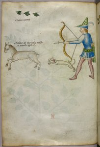 Ilustración de un hombre con un arco disparando a un animal, con un perro y pájaros encima, c.1440 (tinta y color sobre vitela)