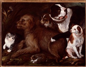 Los perros de los Medici, con un gato y un conejo de la escuela italiana de Italian School