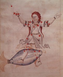 Ms.1036 La constelación de Piscis, de 