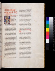 Ms 143. Gregorio el Grande, Registrum Epistolarum, f.8r. Inicial decorada [S] con relleno de hojas de vid blancas y remates