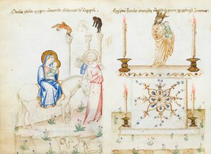 Ms 43-1950 fol.3v La Huida a Egipto, del Speculum Humanae Salvationis de Italian School