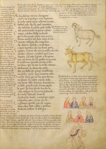 Ms Italien 87 fol.171 Página que ilustra los signos astrológicos, de "De Civitate Dei, San Agostino" (vitela) de Italian School