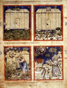El Arca de Noé, Miniatura tomada del códice 212 (o codice padovano o Biblia de Padua) 1390-1400 Rovigo, Accademia dei Concordi de Italian School