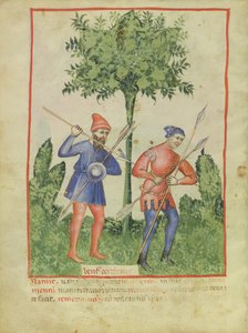 El Viento del Oeste, del Tacuinum Sanitatis, c.1390-1400 de Italian School