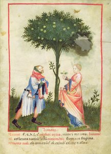 Nouv Acq Lat 1673 fol.18 Cosecha de Limones, del Tacuinum Sanitatis, c.1390-1400 de Italian School