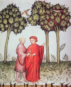 Nova 2644 fol.102v Dos amigos paseando juntos, del Tacuinum Sanitatis Codex Vindobonensis de Italian School