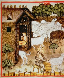 Ganadería ovina: leche dulce, de Tacuinum Sanitatis de Italian School