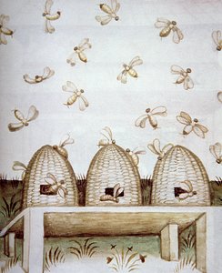 Colmenas, de Tacuinum Sanitatis de Italian School