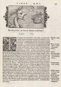 Página 735 de Historia De Gentivus Septentrionalibus por Magnus Olaus, Roma 1565 de Italian School