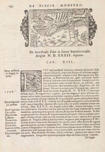 Página 742 de Historia De Gentivus Septentrionalibus por Magnus Olaus, Roma 1565 de Italian School