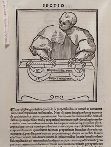 Página de Musica theorica por Lodovico Fogliani (1475?-1542) (o Ludovico Foliani) teórico musical