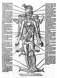 Placa que representa un cuerpo humano con la posición de todos los órganos y los signos zodiacales correspondientes a ellos por sus influencias astrológicas. Placa extraída de "Recetoro di Galeno optio e probato a tutte le infirmita che accadeno a huomini  de Italian School