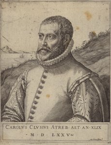 Retrato de Carolus Clusius de Italian School