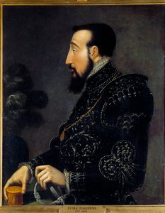 Retrato de Enrique II, rey de Francia
