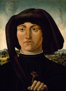 Retrato de un joven con una flor rosa, c.1475-85 (temple sobre madera) de Italian School