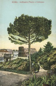 Roma, Italia, Anfiteatro y Coliseo (litografía en color) de Italian School
