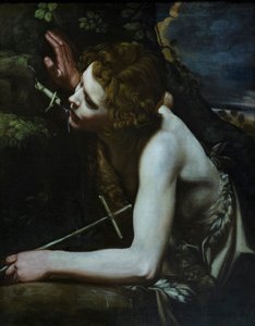 San Juan Bautista, c.1640-60 (óleo sobre lienzo) de Italian School