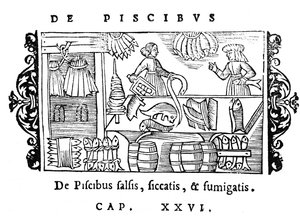 Salazón, secado y ahumado de pescado, ilustración de Historia de Gentibus Septentrionalibus de Olaus Magnus (1490-1558), publicada en Roma, 1555 de Italian School
