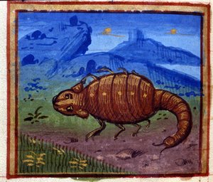 Signo de escorpión. Horóscopo italiano, mediados del siglo XV. de Italian School