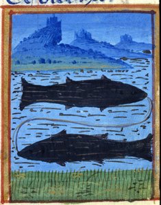Signo del pez. Horóscopo italiano, mediados del siglo XV.
