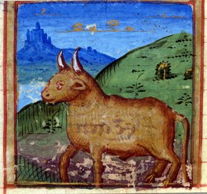 Signo del toro. Horóscopo italiano, mediados del siglo XV.