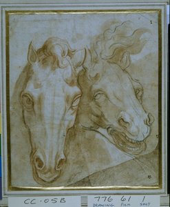 Estudios para las cabezas de dos caballos