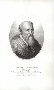 Ulisse Aldrovandi de Italian School