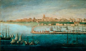Unidad de Italia: Expedición de los Mil, el desembarco en Marsala de Italian School