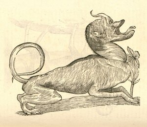 Ilustración de Canis monstroso capite de Historia de Monstruos de Aldrovandi, 1642 de Italian School