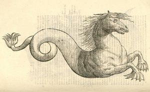 Ilustración de Equus marinus monstrosus de Historia de Monstruos de Aldrovandi, 1642