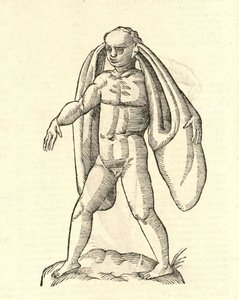 Ilustración de Homo Fanesius auritus de Historia de Monstruos de Aldrovandi, 1642 de Italian School