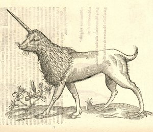 Ilustración de un Camphurch de Historia de Monstruos de Aldrovandi, 1642 de Italian School