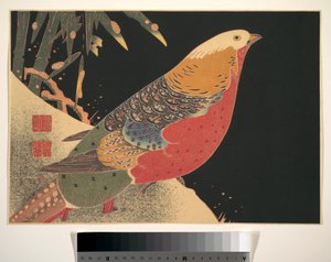 Faisán dorado en la nieve, c.1900 (xilografía, tinta y color sobre papel) de Ito Jakuchu