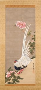 Silver Pheasant And Peonies (tinta y color sobre seda) de Ito Jakuchu