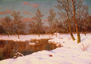 Una tarde de noviembre de Ivan Fedorovich Choultse