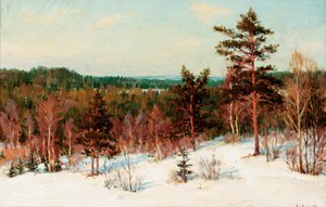 Invierno - Vista sobre el bosque de Ivan Fedorovich Choultse