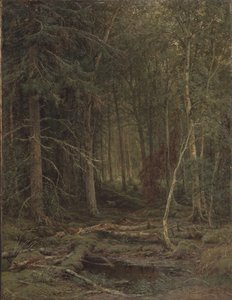 Bosques