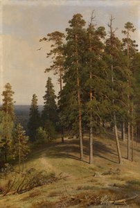 El Bosque de Pinos, 1895 de Ivan Ivanovich Shishkin