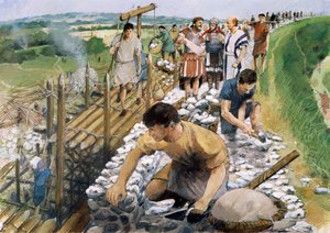Murallas de la Ciudad Romana de Silchester