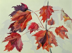No.24 Hojas de arce en otoño de Izabella Godlewska de Aranda