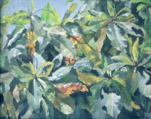 Plantas, 1961 de Izabella Godlewska de Aranda
