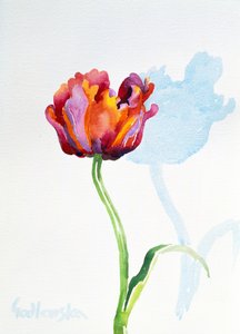 Tulipán de Izabella Godlewska de Aranda