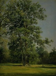 Un roble. Vista del jardín en Wörlitz cerca de Dessau