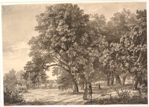 Vista de un camino en un bosque cerca de Sorø, Selandia de Johan Christian Dahl